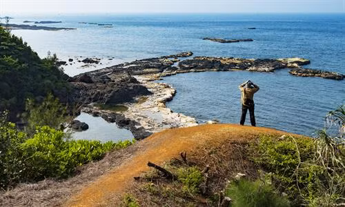 Lý Sơn trước đây được gọi là cù lao Ré, mà theo cách lý giải của dân gian là “cù lao có nhiều cây Ré”. Giờ đây, huyện đảo này đang đứng trước cơ hội để cả thế giới chiêm ngưỡng, vinh danh là Công viên địa chất toàn cầu. Ảnh: Minh Đức - TTXVN