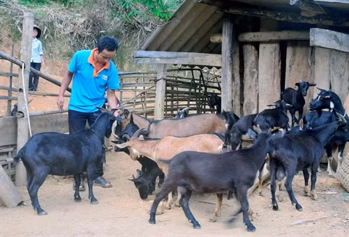 Rà soát, sửa đổi những chính sách dân tộc không còn phù hợp ảnh 1
