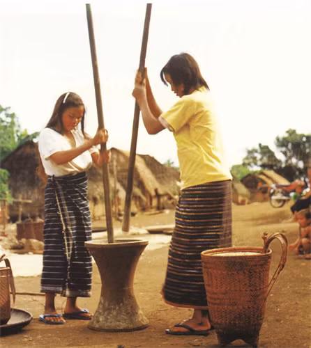 Giã gạo chày đôi