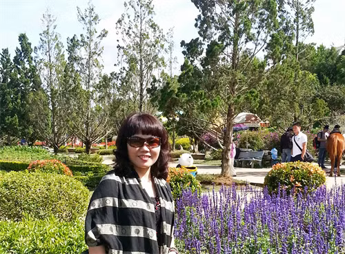 Du khách tham quan vườn hoa Đà Lạt