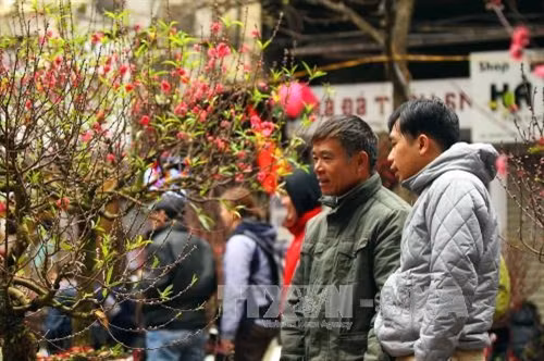 Chợ hoa Tết phố Hàng Lược ảnh 2
