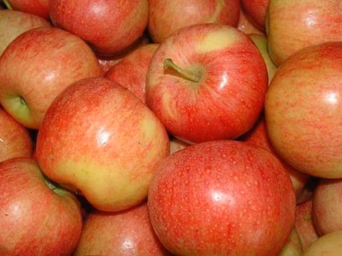 Công bố 11 loại rau quả nhiều thuốc trừ sâu nhất năm 2018 ảnh 3