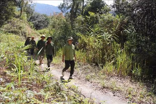Tổ công tác bảo vệ, phòng chống cháy rừng Vườn quốc gia Chư Yang Sin đi tuần tra khu vực trọng điểm, có nguy cơ cháy rừng cao. Ảnh: Phạm Cường-TTXVN