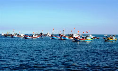 Ảnh minh họa
