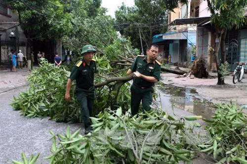 Lực lượng quân đội tham gia thu dọn cây xanh gãy đổ. Ảnh: Thanh Tùng-TTXVN