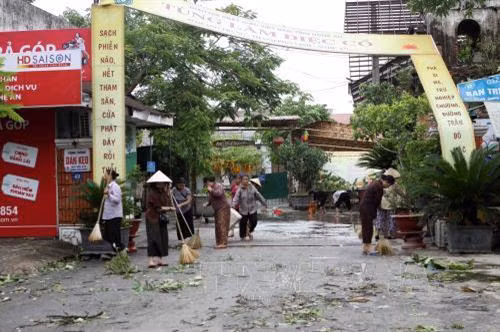 Công nhân môi trường đô thị tỉnh Nghệ An thu dọn cây xanh gãy đổ sau bão. Ảnh: Thanh Tùng-TTXVN Người dân tham gia khắc phục hậu quả cây xanh gãy, đổ sau bão và làm vệ sinh môi trường. Ảnh: Thanh Tùng-TTXVN