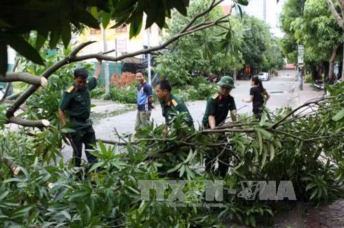 Lực lượng quân đội tham gia thu dọn cây xanh gãy đổ. Ảnh: Thanh Tùng-TTXVN