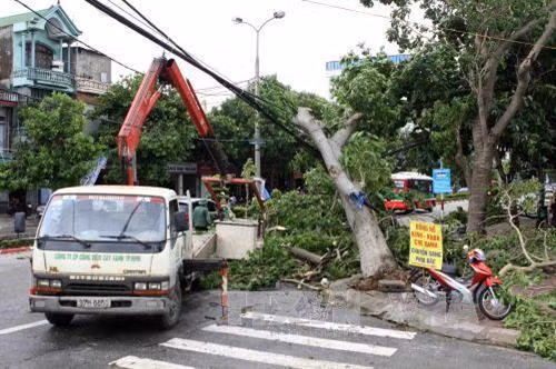 Công nhân môi trường đô thị tỉnh Nghệ An thu dọn cây xanh gãy đổ sau bão. Ảnh: Thanh Tùng-TTXVN Người dân tham gia khắc phục hậu quả cây xanh gãy, đổ sau bão và làm vệ sinh môi trường. Ảnh: Thanh Tùng-TTXVN