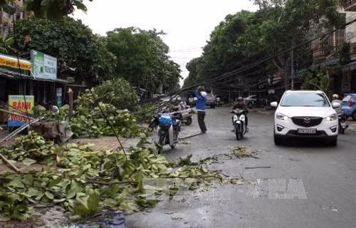 Ngành Viễn thông Nghệ An khắc phục sự cố sau bão. Ảnh: Thanh Tùng-TTXVN