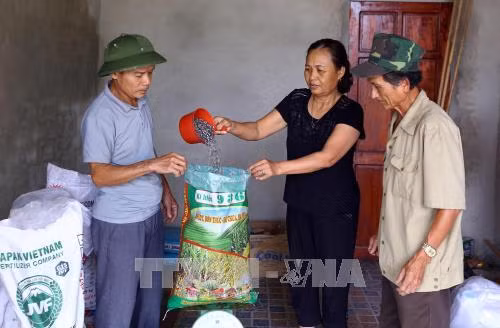 Cung cấp vật tư nông nghiệp cho các thành viên tại HTX nông nghiệp Quang Trung, huyện Đức Thọ, tỉnh Hà Tĩnh. Ảnh: Quang Quyết - TTXVN