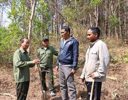 Các đơn vị chủ rừng thường xuyên tuyên truyền cho người dân việc hạn chế đốt dọn rẫy trong mùa nắng nóng, khô hanh. Ảnh: Hồng Điệp - TTXVN