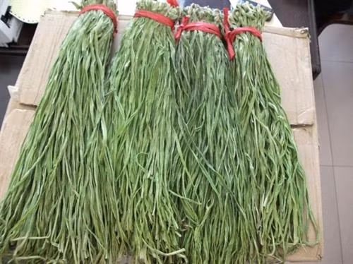 Khám phá gây bất ngờ về rau tiến vua ảnh 1