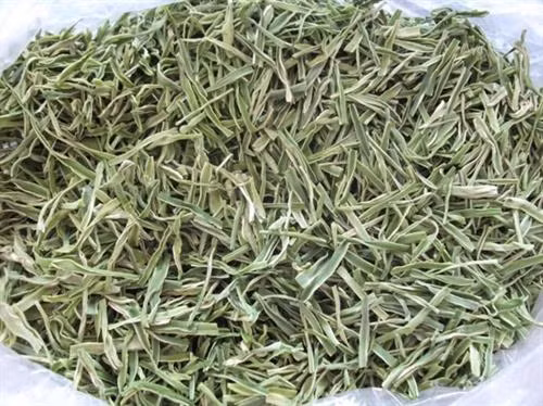 Khám phá gây bất ngờ về rau tiến vua ảnh 5