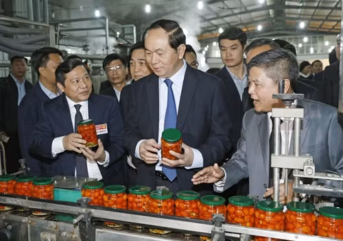 Chủ tịch nước Trần Đại Quang tham quan dây chuyền chế biến rau quả xuất khẩu của Công ty TNHH Hội Vũ. Ảnh: Nhan Sáng-TTXVN