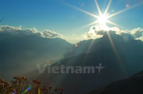 Nơi đây là lãnh địa của cây bụi và trúc lùn cao không quá đầu người.