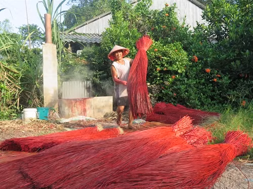 Nhuộm màu cho lác rồi đem phơi trước khi đưa vào dệt thành chiếu