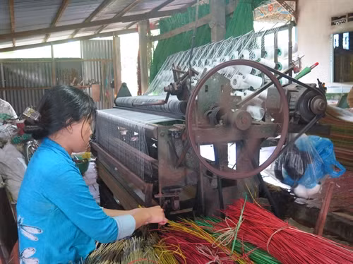 Nhiều gia đình làm nghề dệt chiếu ở Định Yên đã được vay vốn ưu đãi để mua thêm máy móc, mở rộng sản xuất