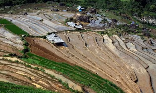 Người dân lấy nước vào ruộng chuẩn bị cho vụ lúa mới tại xã Tả Lèng, huyện Tam Đường tỉnh Lai Châu. Ảnh: Quý Trung - TTXVN Để có những thửa ruộng bậc thang chạy dài uốn quanh sườn núi là công sức của bao đời của nhân dân các vùng núi cao. Ảnh: Quý Trung - TTXVN Người dân tập trung cấy trên những cánh đồng đã đầy no nước trời tại xã Tả Lèng huyện Tam Đường tỉnh Lai Châu. Ảnh: Quý Trung - TTXVN Nhiều hộ dân có điều kiện đầu tư máy cầy để phục vụ cho một vụ mùa mới. Ảnh: Quý Trung - TTXVN Những cơn mưa lớn mang dòng nước nguồn từ trên các ngọn núi đổ xuống những ruộng bậc thang tạo thành những vệt màu đa sắc, càng làm sống động bức tranh bình dị của xã Tà Lèng, huyện Tam Đường tỉnh Lai Châu. Ảnh: Quý Trung - TTXVN