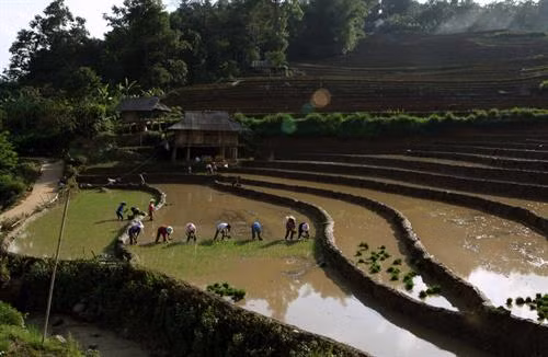 Người dân lấy nước vào ruộng chuẩn bị cho vụ lúa mới tại xã Tả Lèng, huyện Tam Đường tỉnh Lai Châu. Ảnh: Quý Trung - TTXVN Để có những thửa ruộng bậc thang chạy dài uốn quanh sườn núi là công sức của bao đời của nhân dân các vùng núi cao. Ảnh: Quý Trung - TTXVN Người dân tập trung cấy trên những cánh đồng đã đầy no nước trời tại xã Tả Lèng huyện Tam Đường tỉnh Lai Châu. Ảnh: Quý Trung - TTXVN Nhiều hộ dân có điều kiện đầu tư máy cầy để phục vụ cho một vụ mùa mới. Ảnh: Quý Trung - TTXVN Những cơn mưa lớn mang dòng nước nguồn từ trên các ngọn núi đổ xuống những ruộng bậc thang tạo thành những vệt màu đa sắc, càng làm sống động bức tranh bình dị của xã Tà Lèng, huyện Tam Đường tỉnh Lai Châu. Ảnh: Quý Trung - TTXVN