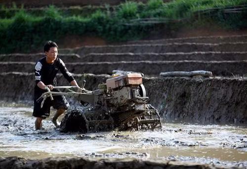 Lai Châu mùa nước đổ ảnh 8