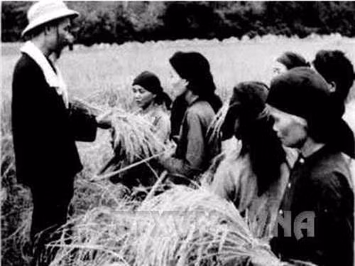Hồ Chủ tịch thăm nông dân xã Hùng Sơn, huyện Đại Từ, tỉnh Thái Nguyên đang thu hoạch vụ lúa đầu tiên sau cải cách ruộng đất (1954). Ảnh: TTXVN
