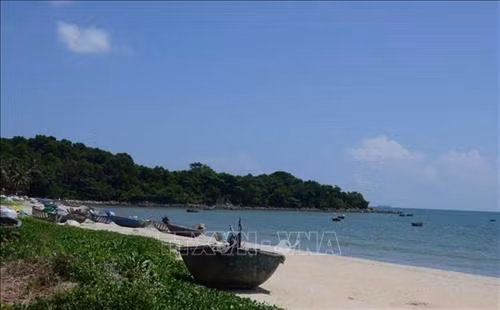 Rạng Nam Ô (mũi Hạc) tương truyền là nơi Huyền Trân công chúa dừng chân trước khi lên thuyền hồi hương, xưa nay vẫn được dân làng gìn giữ như một khu rừng thiêng. Ảnh: Quốc Dũng - TTXVN