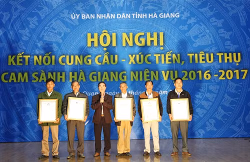 Cục Quản lý chất lượng nông, lâm sản và thủy sản - Bộ Nông nghiệp và Phát triển Nông thôn trao Giấy chứng nhận cam VietGap cho các hộ trồng, sản xuất cam sành Hà Giang. Ảnh: Minh Tâm-TTXVN.