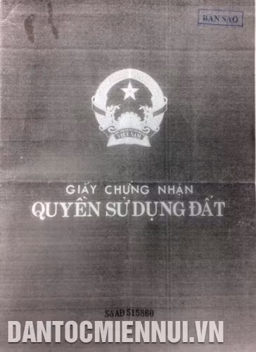 Ảnh minh họa- TTXVN