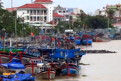Cảng cá bị bồi lấp khiến hàng trăm tàu thuyền phải neo đậu cách cách xa bờ gây tốn kém chi phí cho ngư dân. Ảnh: Thế Lập - TTXVN