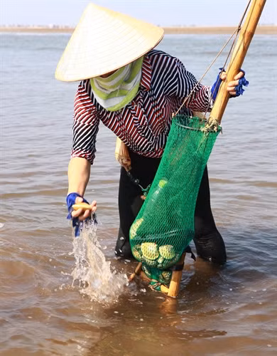 Người phụ nữ này rất thành thạo công việc của mình