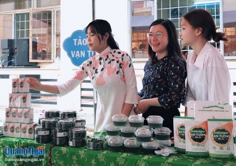 Trồng tảo xoắn thu lợi hàng tỷ đồng mỗi năm ảnh 1