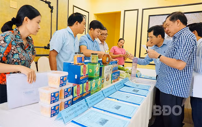 Bình Định giới thiệu, kết nối tiêu thụ nông sản hàng hóa an toàn, chất lượng trên sàn thương mại điện tử ảnh 1