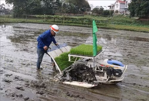 Trình diễn máy cấy tại Lễ hội. Ảnh: Hoàng Nguyên - TTXVN