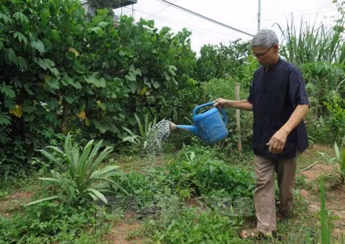 Ông Chựa hằng ngày chăm sóc vườn rau. Ảnh: Nguyễn Chiến - TTXVN