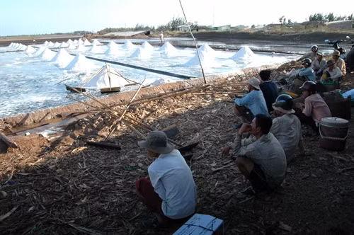 Giá thấp, không đầu ra, diêm dân Bạc Liêu không còn thiết tha, muốn bỏ nghề muối.