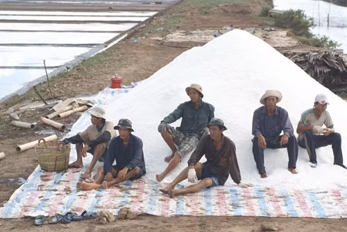 Giá thấp, không đầu ra, diêm dân Bạc Liêu không còn thiết tha, muốn bỏ nghề muối.