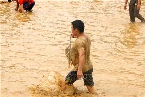 Thành quả tuyệt vời. Ảnh: Văn Tý-TTXVN Lễ hội thu hút hàng nghìn người tham gia không hạn chế về cả số lượng lẫn lứa tuổi, có cả trẻ em, thanh niên, phụ nữ, người già. Ảnh: Văn Tý-TTXVN Niềm vui khi dành được "chiến lợi phẩm". Ảnh: Văn Tý-TTXVN