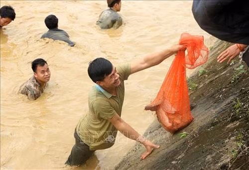 Thành quả tuyệt vời. Ảnh: Văn Tý-TTXVN Lễ hội thu hút hàng nghìn người tham gia không hạn chế về cả số lượng lẫn lứa tuổi, có cả trẻ em, thanh niên, phụ nữ, người già. Ảnh: Văn Tý-TTXVN Niềm vui khi dành được "chiến lợi phẩm". Ảnh: Văn Tý-TTXVN
