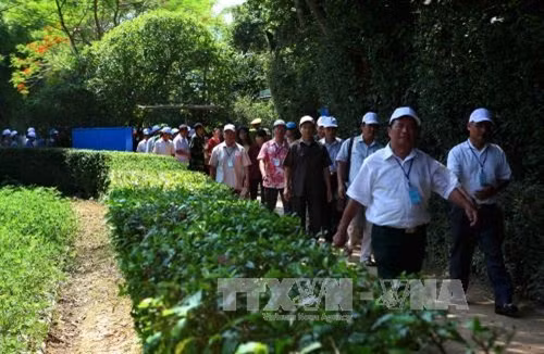 Tháng 5 về thăm quê Bác ảnh 7