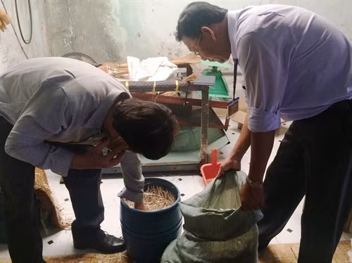 Giá ngâm ủ “siêu tốc” bằng hóa chất Trung Quốc, được phát hiện tại cở sở của bà Phượng.