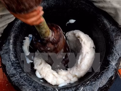 Mực được lau thật kỹ bằng khăn sạch rồi bỏ từng miếng vào cối và giã hơi rối bằng tay, vừa đủ để bắt dính. Đây là điều kiện để có miếng chả mực giòn hơn.