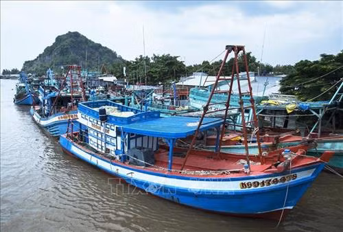 Tàu đánh bắt xa bờ neo đậu tại cửa biển Ba Hòn, thị trấn Kiên Lương, huyện Kiên Lương (Kiên Giang). Ảnh: Hồng Đạt - TTXVN