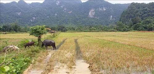 Du khách sẽ có cơ hội trải nghiệm sinh hoạt thường ngày cùng đồng bào dân tộc Vân Kiều tại Quảng Bình. Ảnh: Võ Dung-TTXVN