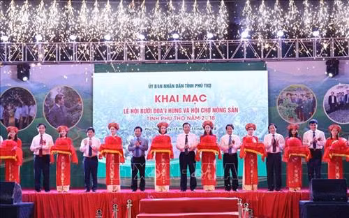 Các đại biểu cắt băng khai mạc. Ảnh: Vũ Sinh – TTXVN