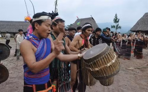Say sưa trong điệu trống