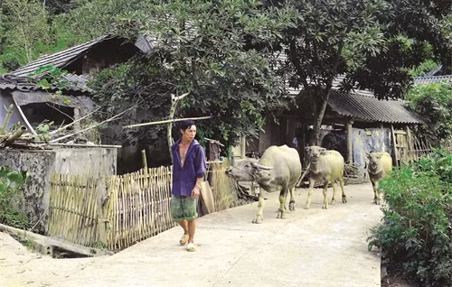 Đường liên thôn vừa được đưa vào sử dụng nhờ chương trình xây dựng nông thôn