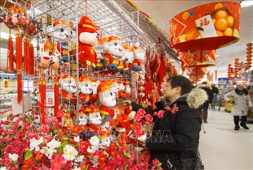 Tượng chú chuột vàng biểu tượng của Năm Canh Tý chào đón du khách tại Đền Tatsumizu ở tỉnh Mie, miền trung Nhật Bản. Ảnh: Kyodo/TTXVN Trang trí đèn lồng đón Tết cổ truyền Canh Tý tại Bắc Kinh, Trung Quốc. Ảnh: THX/TTXVN Các nghệ sĩ biểu diễn màn múa sư tử chào đón Tết Nguyên đán Canh Tý tại Liege, Bỉ, ngày 18/1/2020. Ảnh: THX/ TTXVN Đèn lồng rực rỡ sắc màu chào đón Tết Nguyên đán Canh Tý tại tỉnh Giang Tô, Trung Quốc, ngày 8/1/2020. Ảnh: THX/ TTXVN Người dân chọn mua câu đối chào đón Tết Nguyên đán Canh Tý tại khu chợ ở tỉnh Hải Nam, Trung Quốc, ngày 9/1/2020. Ảnh: THX/ TTXVN Trẻ em thưởng thức món ăn truyền thống trong dịp Năm mới tại tỉnh Giang Tô, Trung Quốc. Ảnh: THX/TTXVN Đèn lồng được thắp sáng rực rỡ để chào đón năm mới tại tỉnh Cam Túc, Trung Quốc, ngày 17/1/2020. Ảnh: THX/ TTXVN Đèn lồng đỏ trang trí tại khu phố người Hoa ở Yangon, Myanmar. Ảnh: THX/TTXVN Người dân mua sắm tại một siêu thị của người Hoa chuẩn bị đón Tết cổ truyền Canh Tý ở Toronto, Canada, ngày 21/1. Ảnh: THX/TTXVN Chào đón Năm mới 2020 trên đỉnh Núi Shiniu ở tỉnh Phúc Kiến, Trung Quốc. Ảnh: THX/TTXVN Người dân chiêm ngưỡng các tác phẩm tại Triển lãm đèn lồng nghệ thuật chào Năm mới ở thành phố Lâm Nghi, tỉnh Sơn Đông, miền đông Trung Quốc, ngày 4/1/2020. Ảnh: THX/ TTXVN Màn múa sư tử chào đón Tết cổ truyền Canh Tý tại khu phố người Hoa ở Manila, Philippines, ngày 25/1. Ảnh: THX/TTXVN Người dân thăm cung hoàng gia Gyeongbo ở Seoul, Hàn Quốc trong dịp Tết Canh Tý ngày 25/1. Ảnh: YONHAP/TTXVN Đèn lồng được thắp sáng rực rỡ để chào đón năm mới tại Khu tự trị dân tộc Choang Quảng Tây, Trung Quốc, ngày 17/1/2020. Ảnh: THX/ TTXVN Vũ công biểu diễn màn múa sư tử chào đón Tết Nguyên đán Canh Tý tại Kota Kinabalu, Sabah, Malaysia, ngày 11/1/2020. Ảnh: THX/ TTXVN