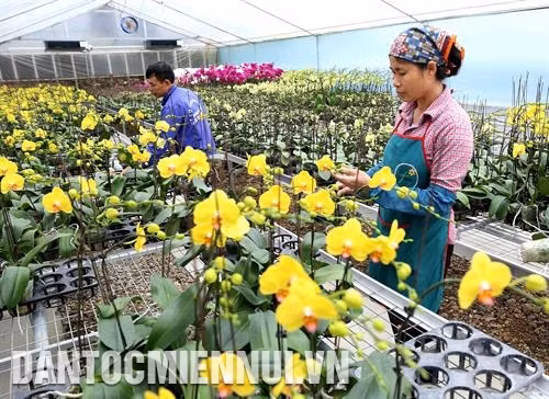 Đường giao thông nông thôn ở xã Song Phượng, huyện Đan Phượng khang trang, sạch đẹp. Ảnh: Vũ Sinh – DTMN Kiên cố hóa kênh mương và làm đường giao thông nội đồng ở xã Đốc Tín, huyện Mỹ Đức. Ảnh: Vũ Sinh – DTMN Trang trại trồng hoa Đan Hoài, thị trấn Phùng, huyện Đan Phượng được đầu tư sản xuất theo tiêu chí nông thôn mới. Ảnh: Vũ Sinh – DTMN