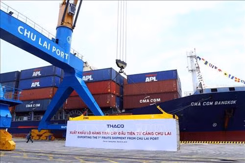 Xuất khẩu lô hàng trái cây đầu tiên từ cảng Chu Lai. Ảnh: Thống Nhất - TTXVN
