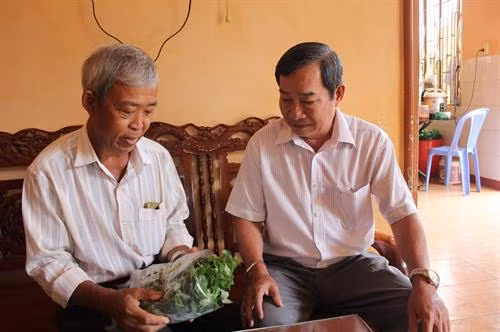 Ông Thọ giới thiệu với Hội Nông dân thị xã Bình Long bó rau càng cua sau thu hoạch.Ảnh : danviet.vn